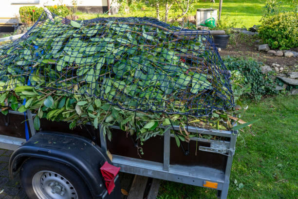 Best Shed Removal  in Franklin Grove, IL